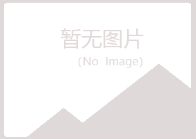 白银平川从彤设计有限公司